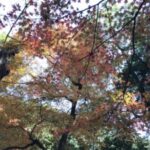 img_5056.jpg