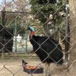 img_5358.jpg